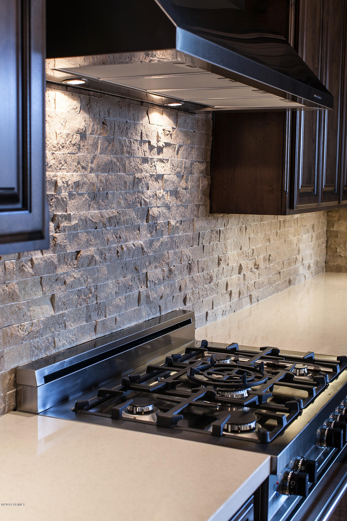 2519 West Irvine Road Phoenix, AZ 85086 - Photo 7 of 46 Gas Stove