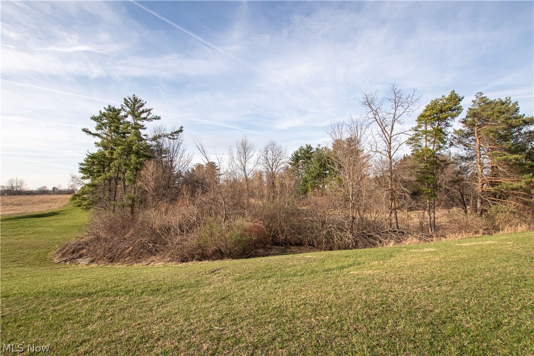 9608 Norwalk Road Litchfield, OH 44253 - Photo 18 of 48