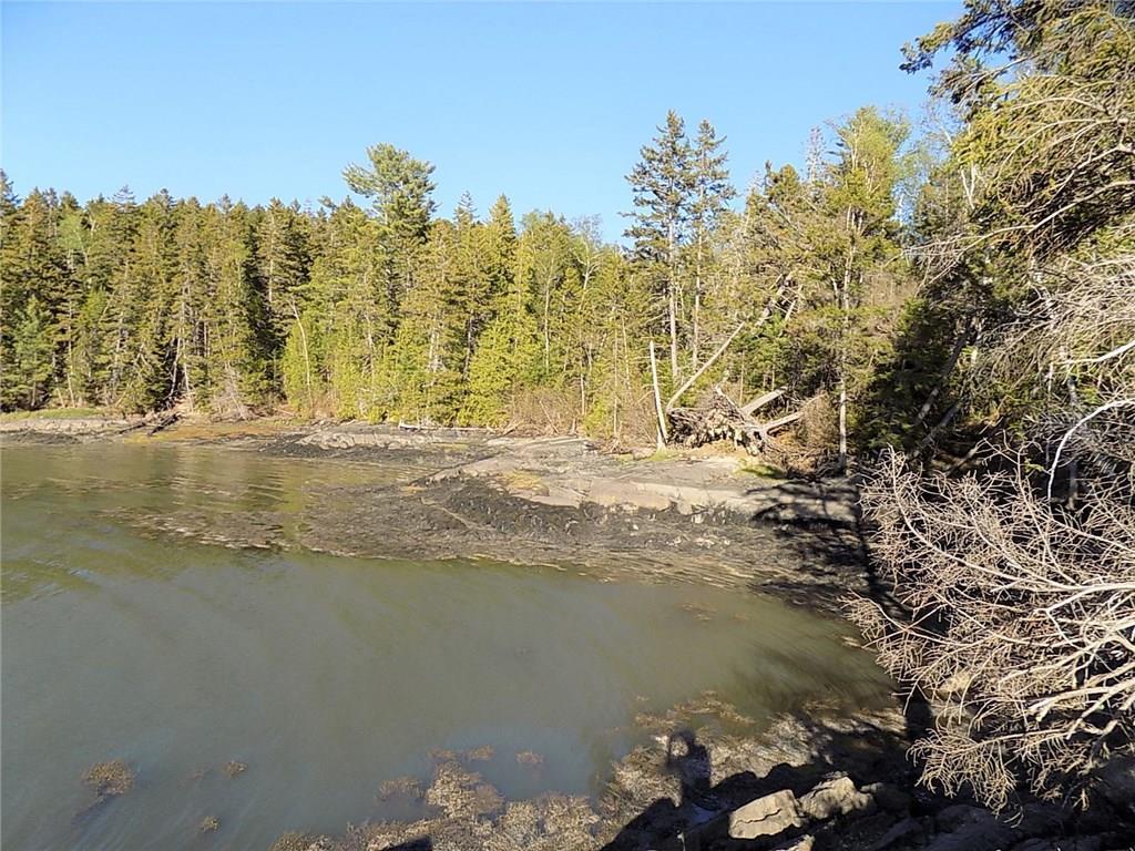 Lot 80 Lyons Road Lubec, ME 04652 - Photo 28 of 29 Photo