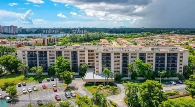 a view of a garden with plants and large trees