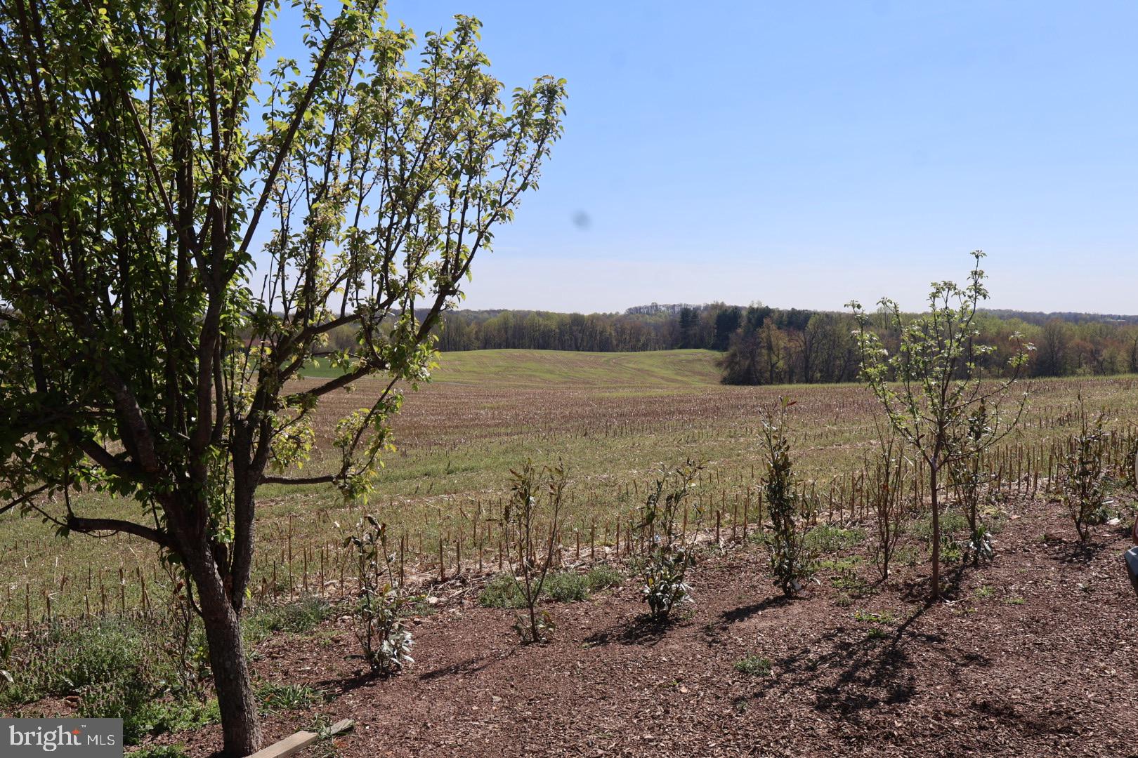 10500 Moxley Road Damascus, MD 20872 - Photo 10 of 35