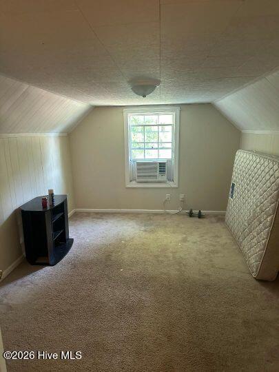 1035 Winslow Road Robersonville, NC 27871 - Photo 11 of 13 Bonus room/bedroom