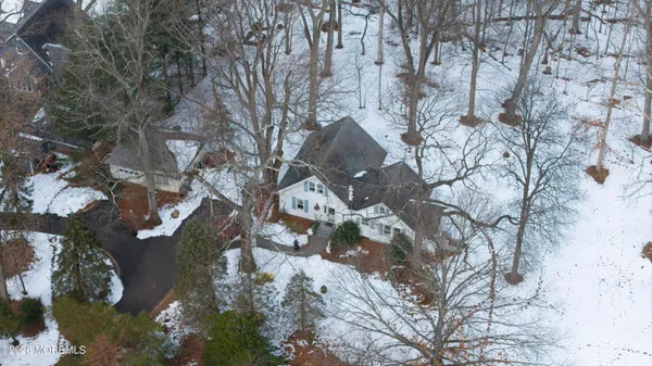 a view of a tree in a yard