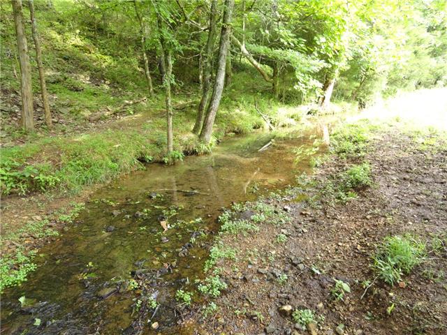 1676 Creecy Hollow Road Pulaski, TN 38478 - Photo 16 of 20 Gallery Image 16