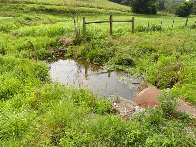 1676 Creecy Hollow Road Pulaski, TN 38478 - Photo 20 of 20 Gallery Image 20
