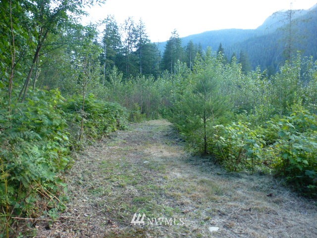 15920 Index-Galena Road Index, WA 98256 - Photo 1 of 20 Gallery Image 1