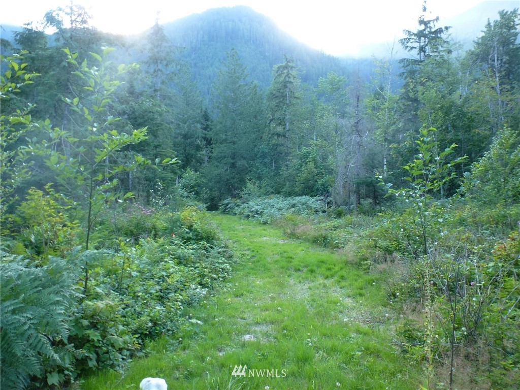 15920 Index-Galena Road Index, WA 98256 - Photo 14 of 20 Gallery Image 14