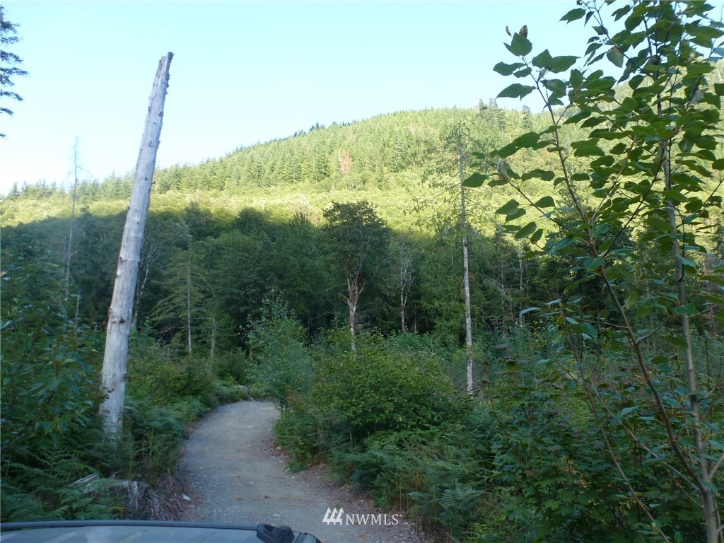 15920 Index-Galena Road Index, WA 98256 - Photo 15 of 20 Gallery Image 15