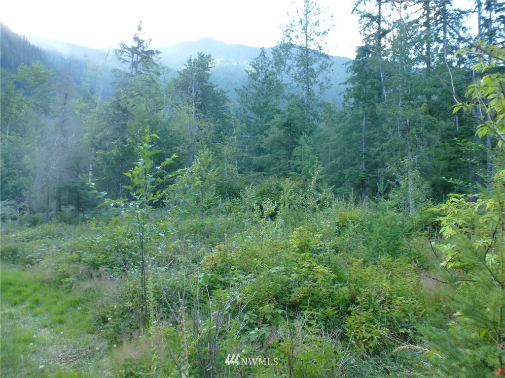 15920 Index-Galena Road Index, WA 98256 - Photo 3 of 20 Gallery Image 3