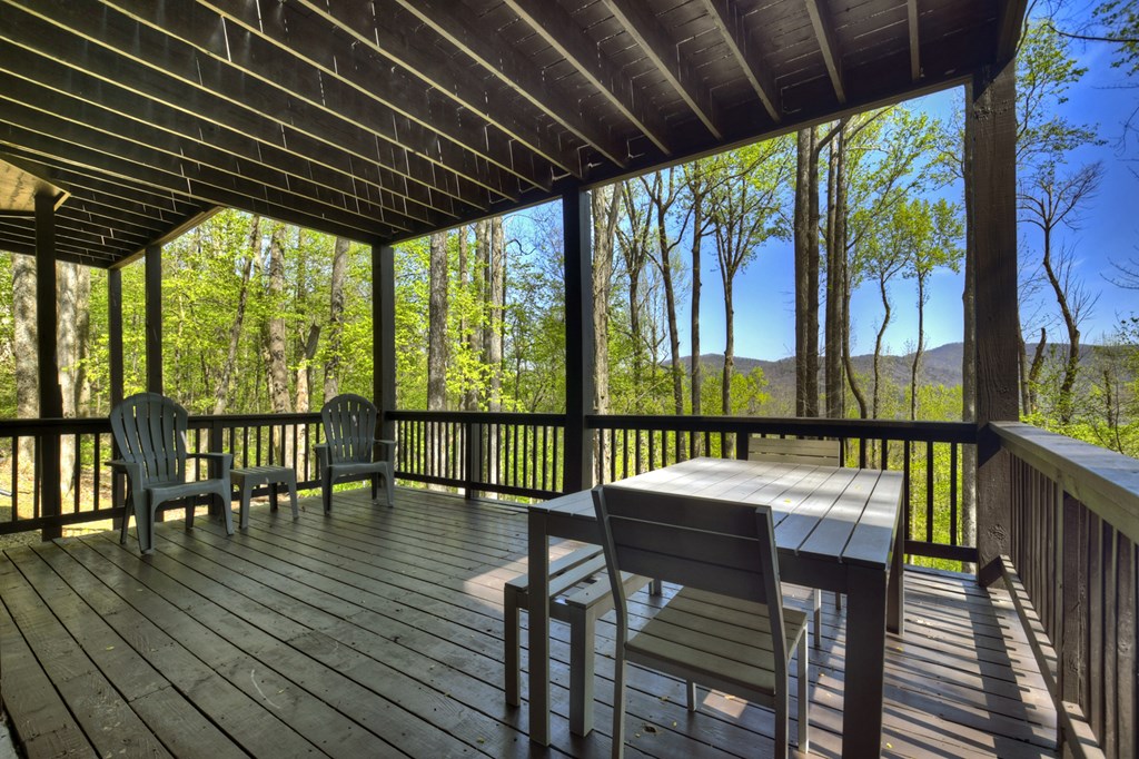 1831 Walnut Ridge Ellijay, GA 30536 - Photo 37 of 49 Terrace deck with mountain views