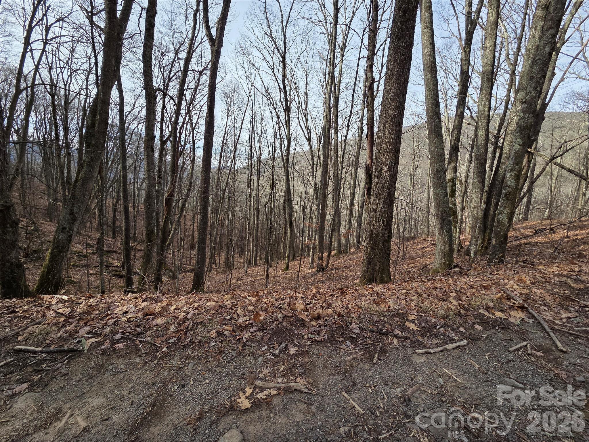 180 Goat House Way Maggie Valley, NC 28751 - Photo 11 of 17 a view of wooden fence of a house