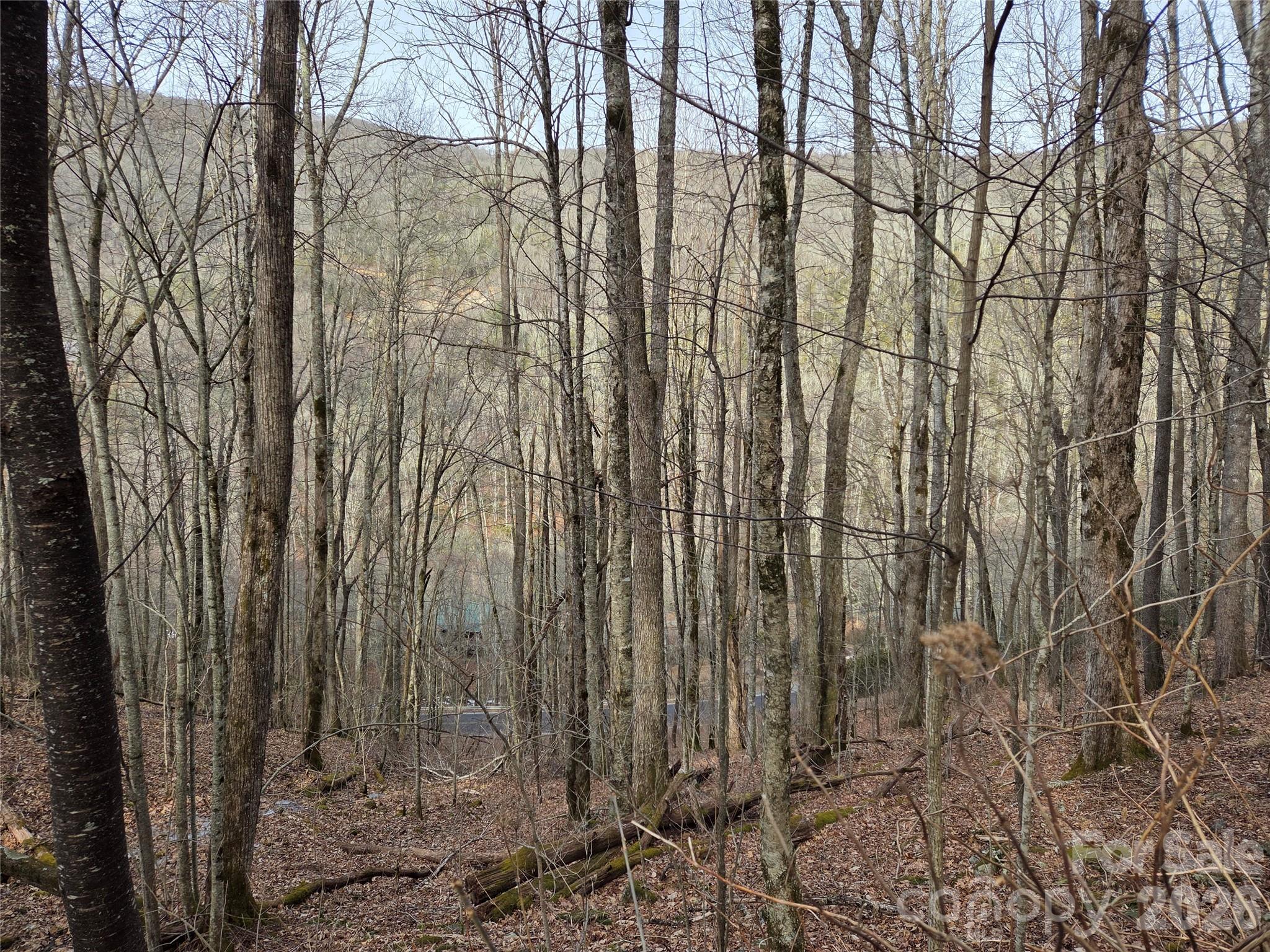 180 Goat House Way Maggie Valley, NC 28751 - Photo 5 of 17 a view of a backyard of the house