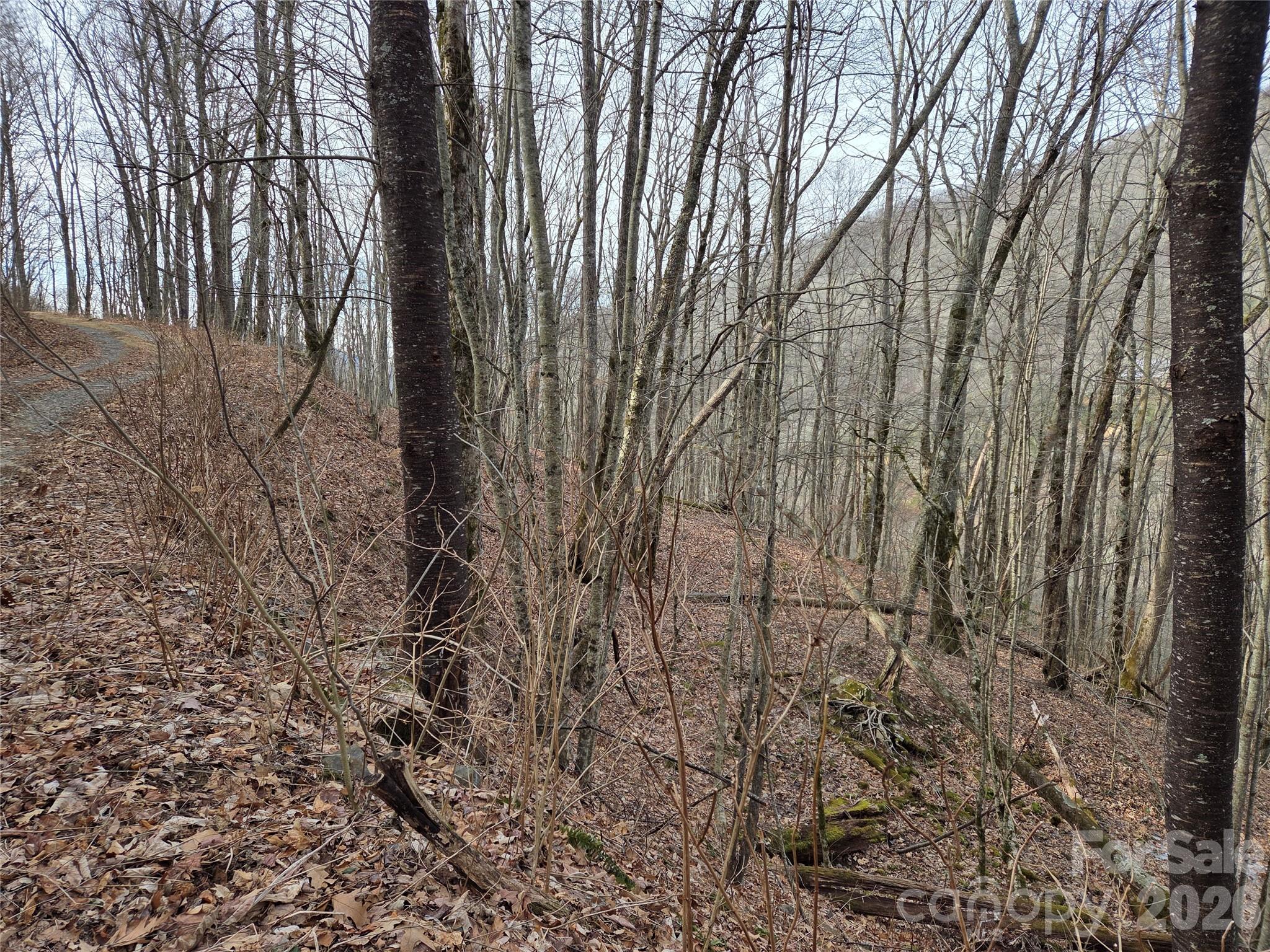 180 Goat House Way Maggie Valley, NC 28751 - Photo 6 of 17 a backyard of a house with lots of green space