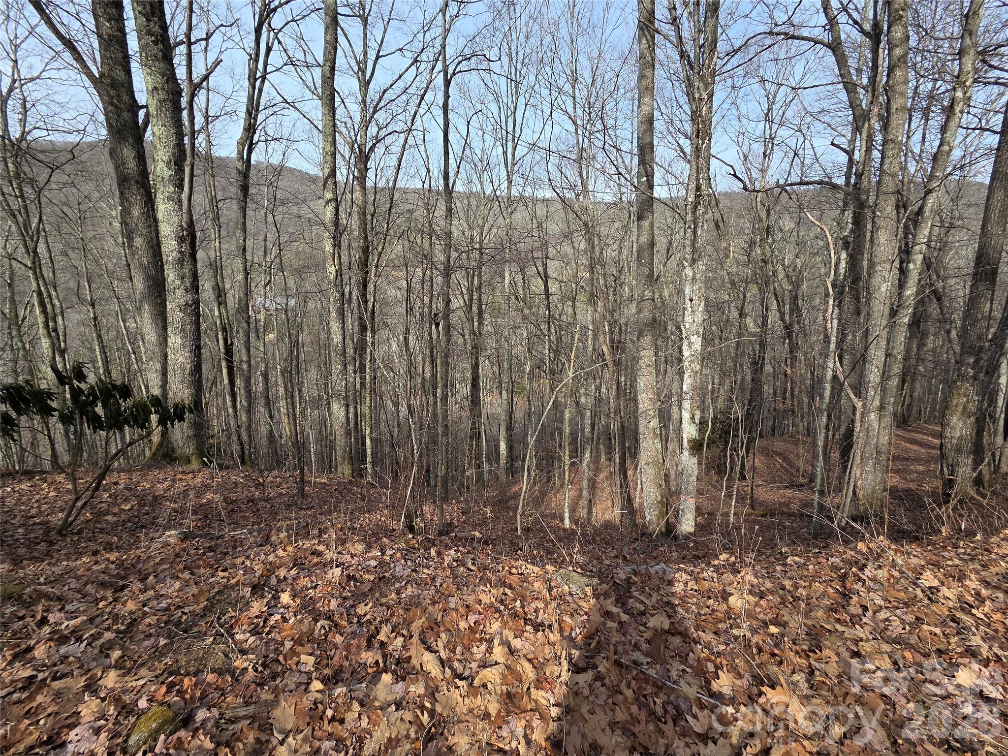 180 Goat House Way Maggie Valley, NC 28751 - Photo 9 of 17 a view of a backyard of the house