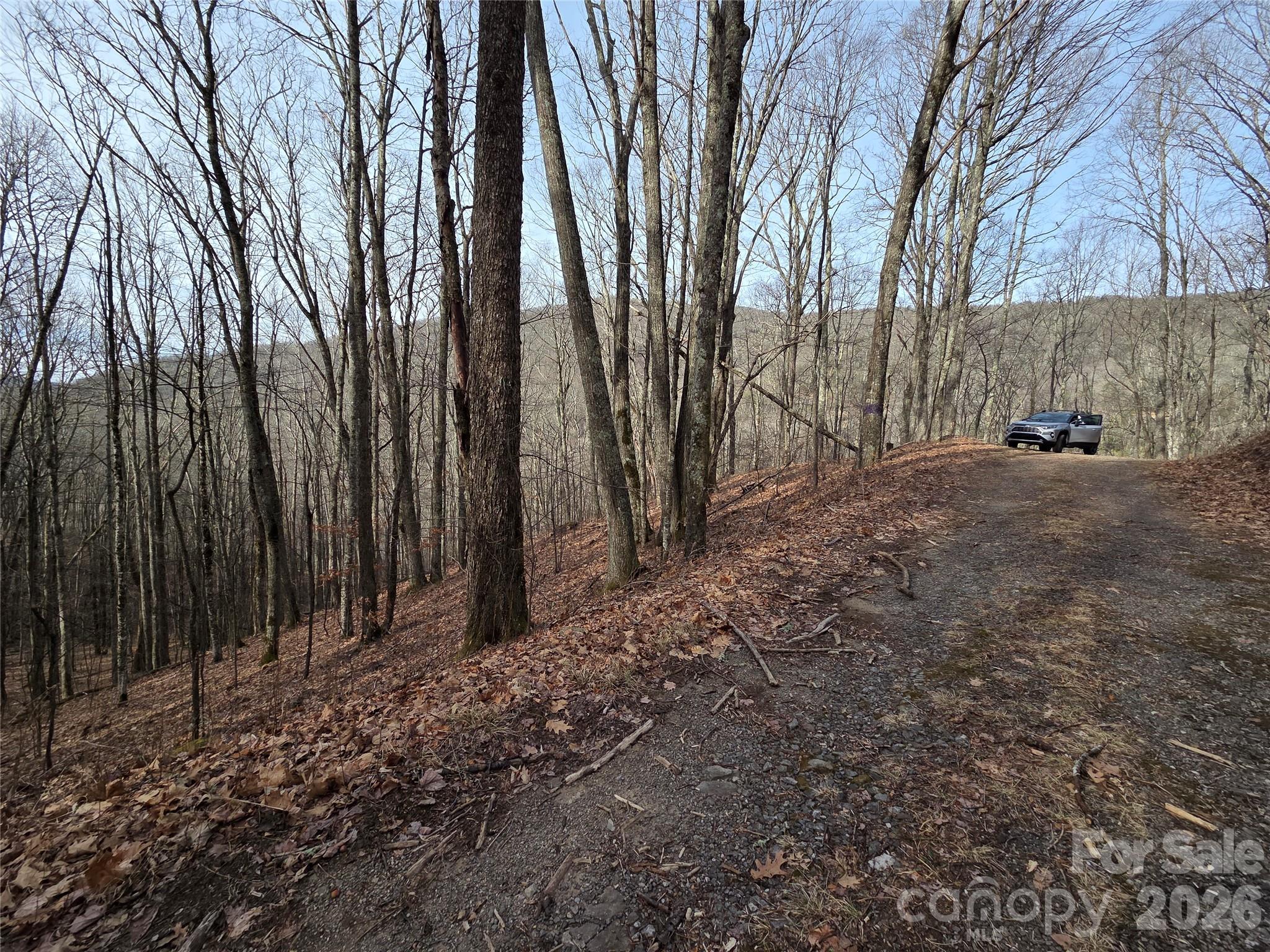 180 Goat House Way Maggie Valley, NC 28751 - Photo 10 of 17 a view of backyard with large trees