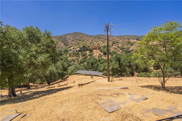 a view of a yard with a tree