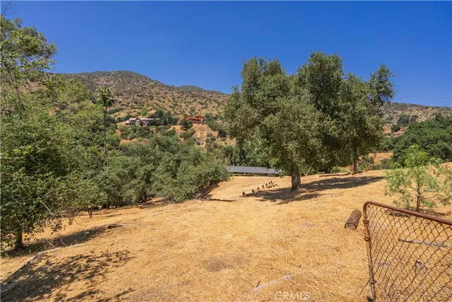 a view of a dry yard with a tree