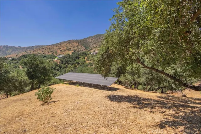 a view of a yard with a tree