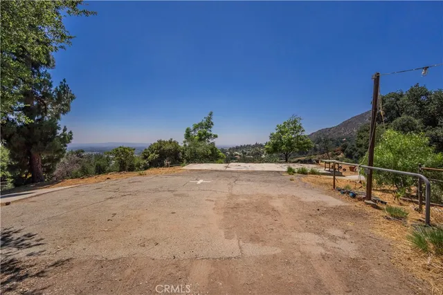a view of a dry yard with trees