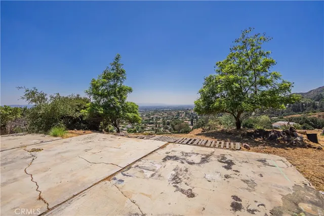 a view of a city with lush green forest