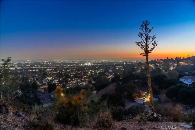 a view of a swimming pool and trees in the background
