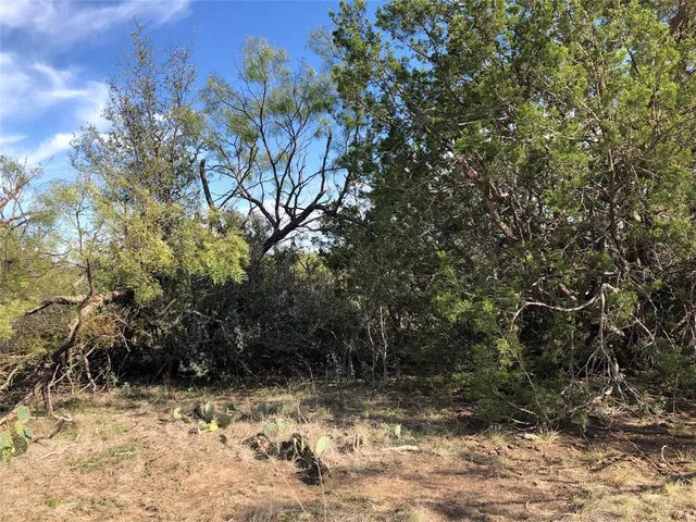 a view of a yard with trees
