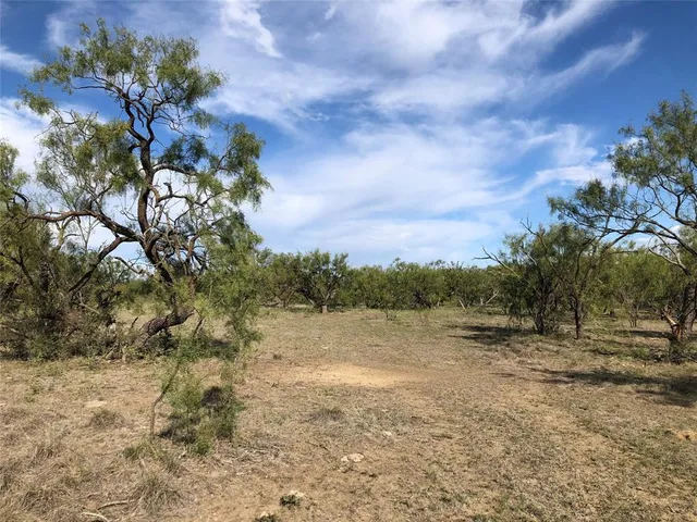 a view of a field with trees in background