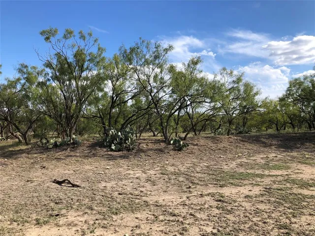 a view of a tree in front of a house