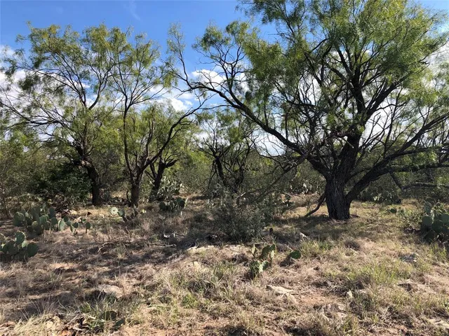 a view of lake and mountain