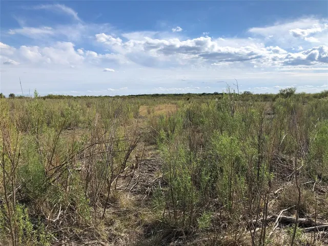 a view of a dry yard with trees in the background