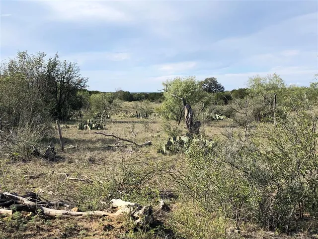 a view of a field with an ocean