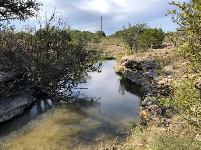 a view of a field with lots of trees
