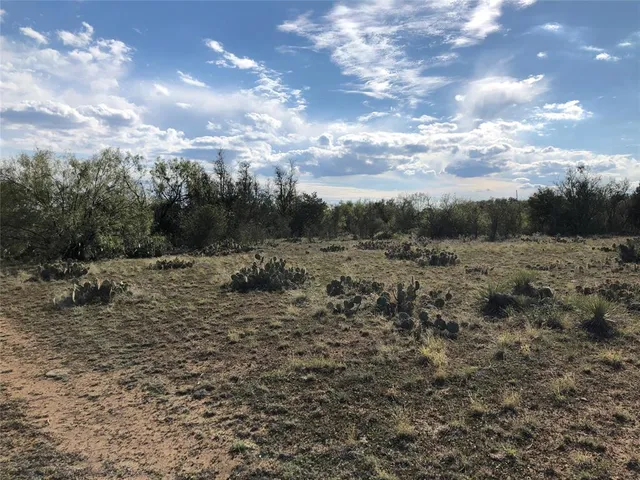 a view of a dry yard with large trees