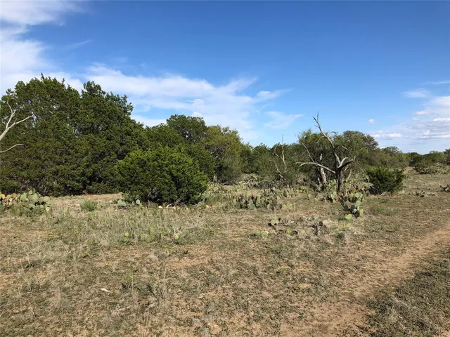 a view of a yard with an trees