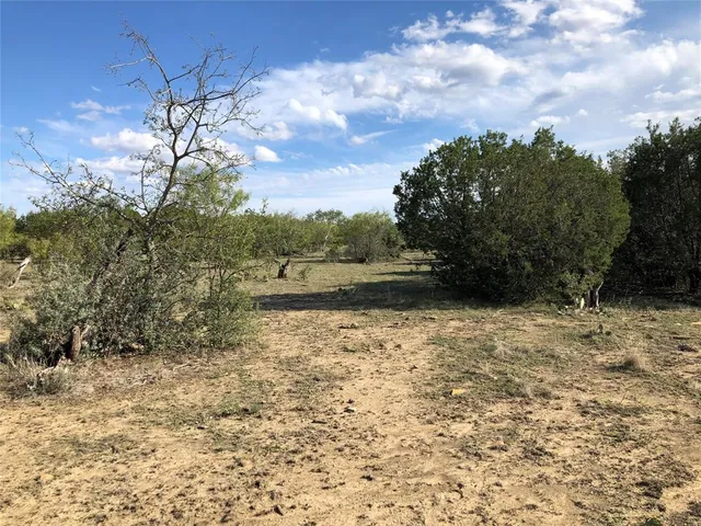 a view of a dry yard with wooden fence
