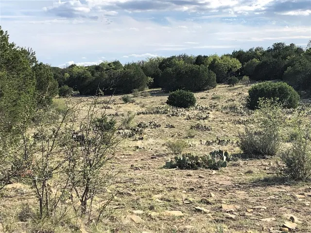a view of a yard covered with snow