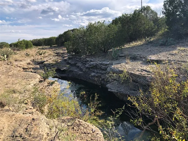 a view of a city with lush green forest