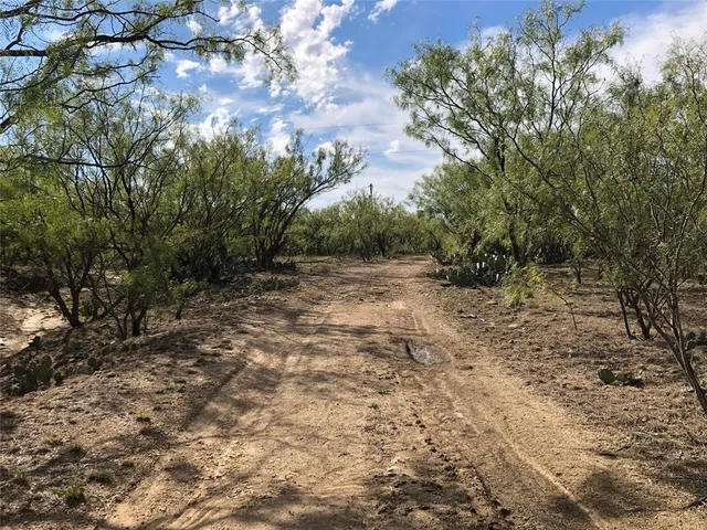 a view of a yard with plants and trees