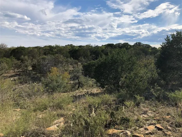 a view of a forest filled with trees