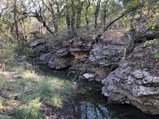 a view of a lake with a tree