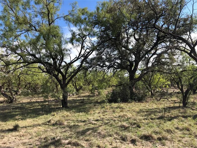 a view of outdoor space with yard