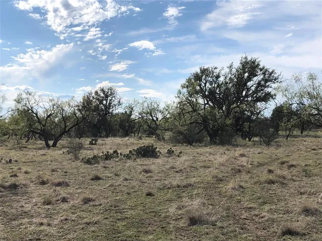 a view of a dry yard with trees in the background