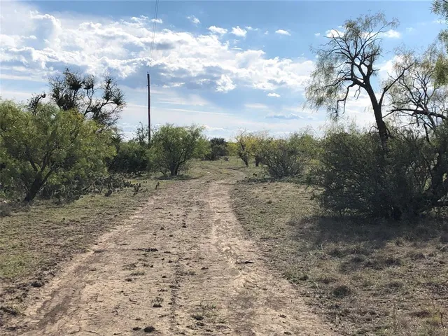 a view of a yard with trees
