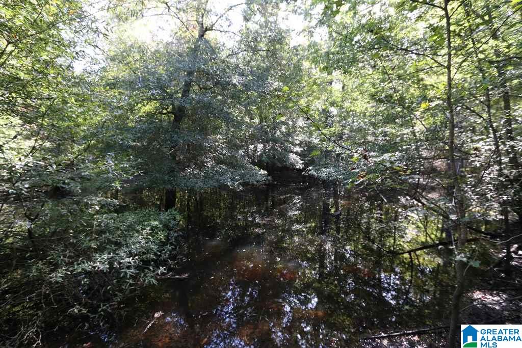 Sprayberry Road, Unit 103 Cropwell, AL 35054 - Photo 26 of 48