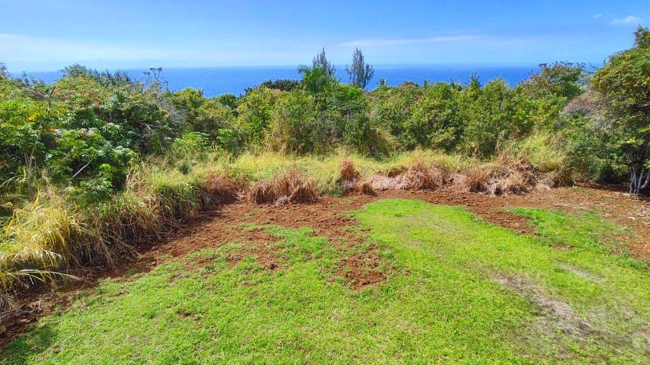81-6315 Hawaiʻi Belt Road Captain Cook, HI 96750 - Photo 12 of 13 a view of a yard with a tree