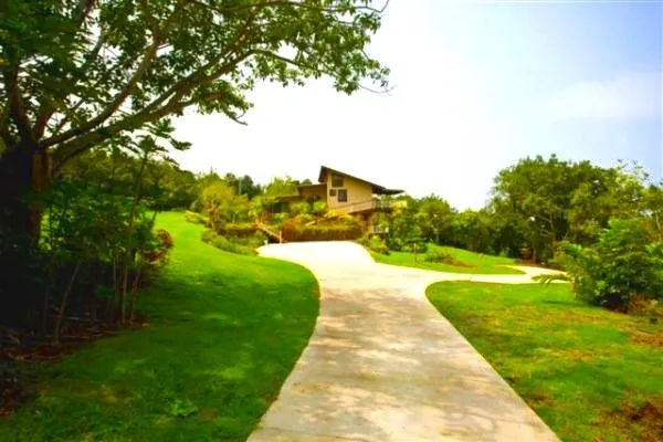 a view of an outdoor space and a yard