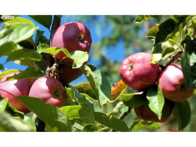 $1,100,000 | 47615 Oregon Coast Highway, Bandon, OR 97411