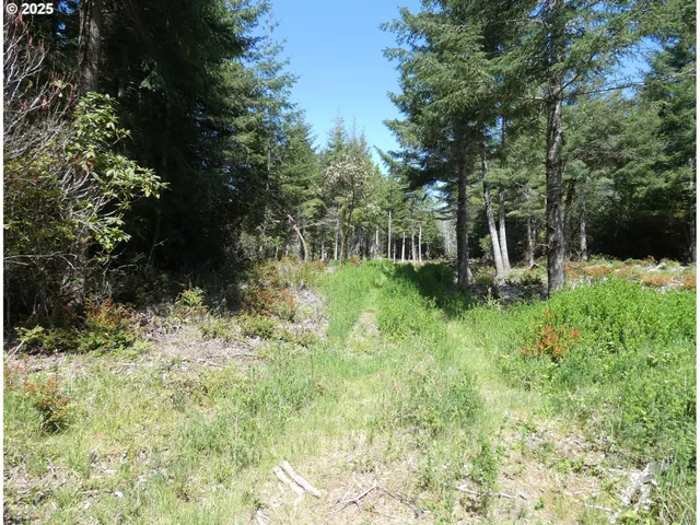 $1,100,000 | 47615 Oregon Coast Highway, Bandon, OR 97411