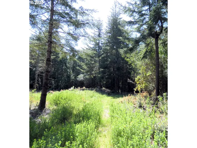 $1,100,000 | 47615 Oregon Coast Highway, Bandon, OR 97411