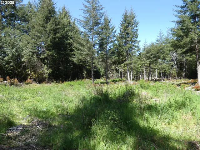$1,100,000 | 47615 Oregon Coast Highway, Bandon, OR 97411